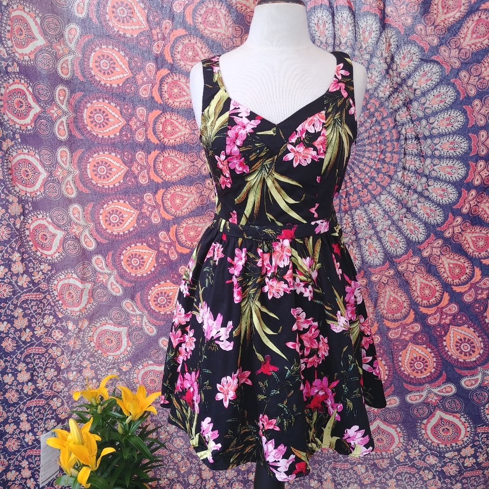 Morgan De Toi summer dress